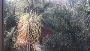 Venta de Casa en Bello Búcaros Sector Santa Ana